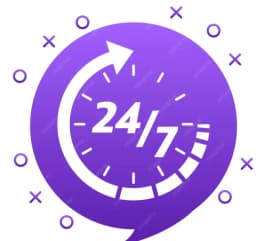24/7 Expert Support
